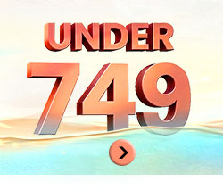 summer2_default_page_under749