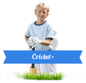 Cricket