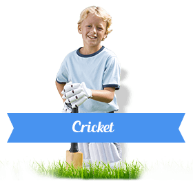 Cricket