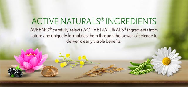 ACTIVE NATURALS INGREDIENTS