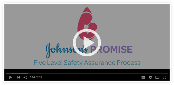 Johnson's five level safety assurance process