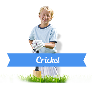 Cricket