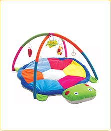Play Gyms & Play Mats