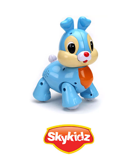 SKYKIDZ