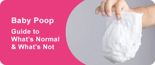 Baby Poop: Guide to What’s Normal & What’s Not