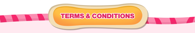 Terms & Conditions