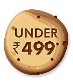 Under Rs. 499*