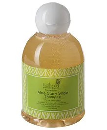 Rustic Art Aloe Clary Sage Shampoo - 175 gm