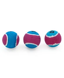 SG Tennis Balls Pack of 3 - Blue Red