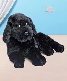 KIDZ Puppy Soft Toy Black - Length 27 cm