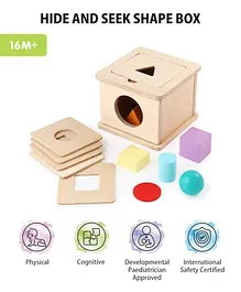 Intellibaby Wooden Hide & Seek Shape Box Level 8 - Multicolor