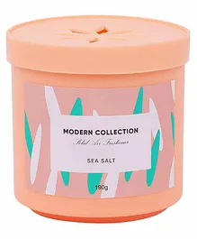 Miniso Modern Collection Solid Air Freshener Sea Salt Flavour - 190 gm