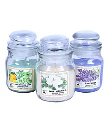 Itsy Bitsy Glass Jar Candle Lavender Cool Citrus & Basil Sweet Magnolia Pack of 3 - Green White Purple