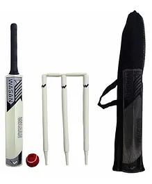 Wasan Cricket Set with Bag Size 3 - Cream Color