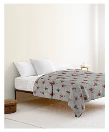 The Baby Atelier 100% Organic Cotton Junior Blanket Fox Print - Grey