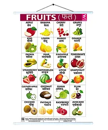 Wissen Fruits Educational Roller Wall Chart - English Hindi