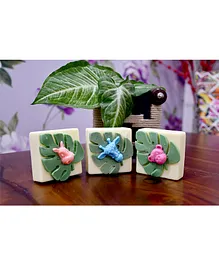 THE LITTLE LOOKERS Handmade Jungle Themed Organic Soap Pack 3 - 100 gm