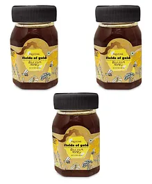 Pristine Fields of Gold Blossom Honey Pack of 3 - 100 gm Each