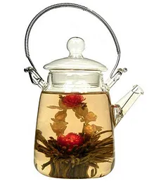 EZ Life Glass Tea Pot Jar With Tea Filter - Transparent