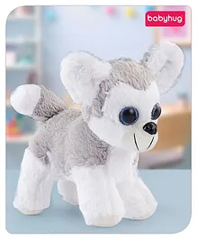 Babyhug Baby Husky Soft Toy - Height 25 cm
