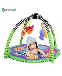 Playhood Aquatic Infant Play Gym - Multicolour