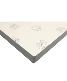 Springtek Dreamer 100% Natural Latex Foam Mattresss - Multicolour