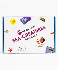 Hungry Brain A5 Sea Creatures Flash Cards - 24 Pieces