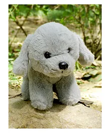 Dukiekooky Puppy Soft Toy Blue - Length 20 cm
