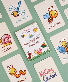 Kicks and Crawl Bugs in the Garden Flash Cards - 10 Pieces