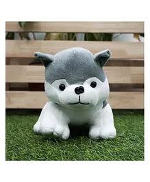 Baby Story Plush Stuffed Husky Dog Toy - Height 18 cm