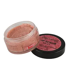 Riyo Herbs Rose Lip Scrub With Shea Butter & Avocado Oil - 25 gm