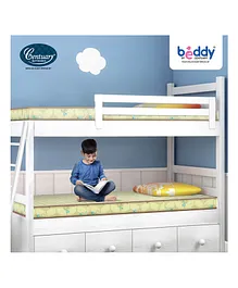 Centuary Beddy Blossom Single Kids/bunk Bed Natural Coir Foam Mattress with Free Protector
