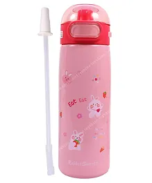 Toyshine Reusable Double Walled Steel Flask Insulated Water Bottle Pink - 410 ml
