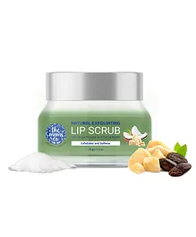 The Moms Co Natural Exfoliating Lip Scrub- 25 gm
