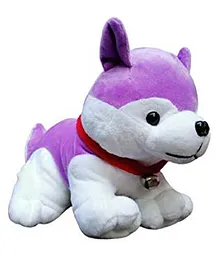 Babyjoys Husky Dog Soft Toy Purple - Length 25 cm