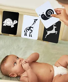 Baby Moo High Contrast Animals Flash Cards Pack of 12 - Black White 