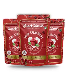 SnackAmor Premium International Dried Cranberry Sliced - 175 gm Pack Of 3