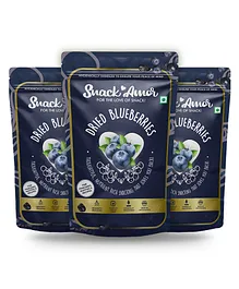 SnackAmor Premium International Dried Blueberry - 100 gm Pack of 3