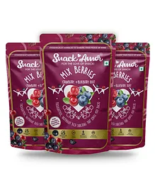 SnackAmor Premium International Mix Berries - 175g pack of 3