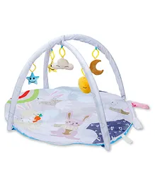 R for Rabbit First Play Rabbit Printed Play Gym - Multicolor