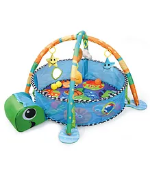 R for Rabbit First Play Turtle Shaped Play Gym - Multicolor