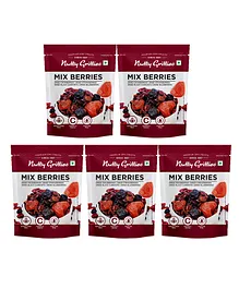 Nutty Gritties Mix Berries Dried Fruits Berry Pack of 5 - 50 gm each 