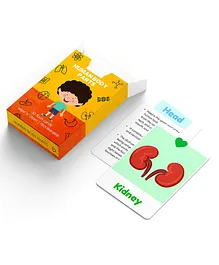 WiseTed Human Body Parts  Facts and Imagery Flash Cards - 30 Cards