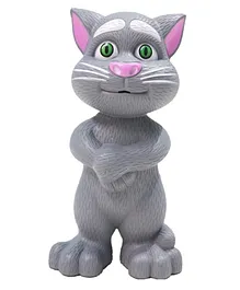 FunBlast Musical Cat Toy - Grey