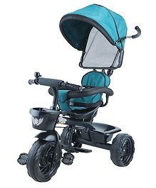 Toyzoy Maple Pro Max Baby Trike Tricycle with Canopy - Green