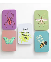 EarlyBuds Coloured Insect Flashcards - 9 Cards