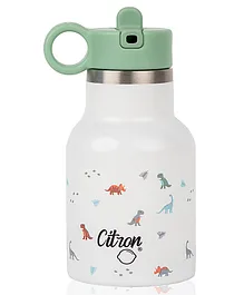 Citron Triple Wall Insulated Water Bottle 250ml Dino