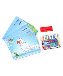 Toyenjoy Colour And Wipe Birds Flash Cards- 24 Cards