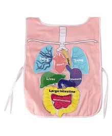 My House Teacher What's Inside My Body Apron ( Print And Color May Vary)