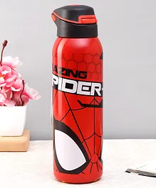 Spiderman Stainless Steel Vacuum Sipper Bottle Red - 600 ml